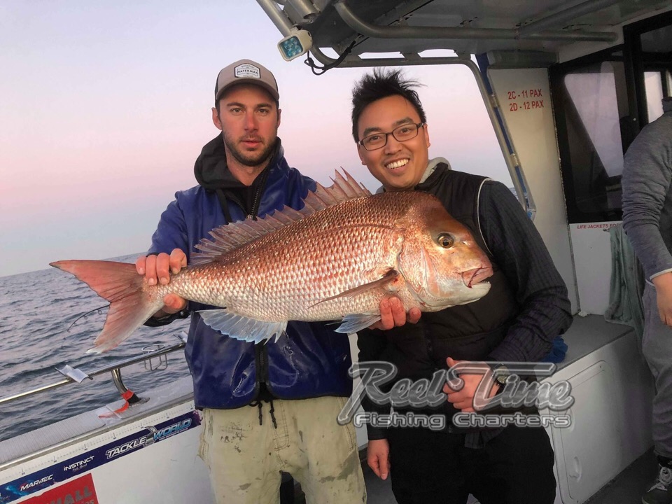 Catch of the Month Snapper