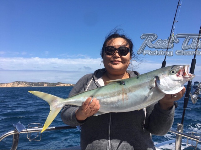 King Fish Fishing Charters Melbourne
