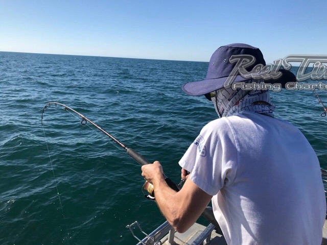 Snapper Fishing in Melbourne with Matt Cini