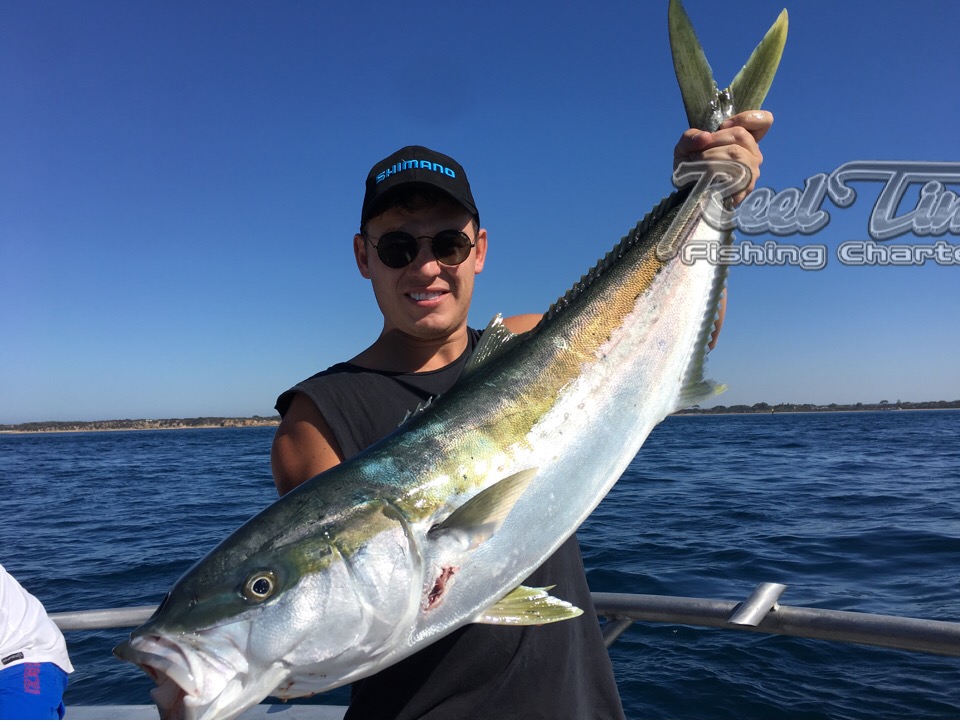 Port Phillip Bay Fishing Charters Melbourne