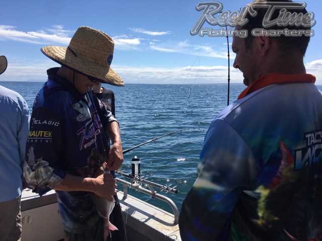   Mornington Peninsula Fishing Charters 