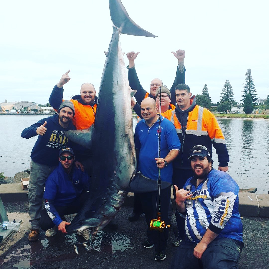 Mako Shark Fishing Charters Victoria