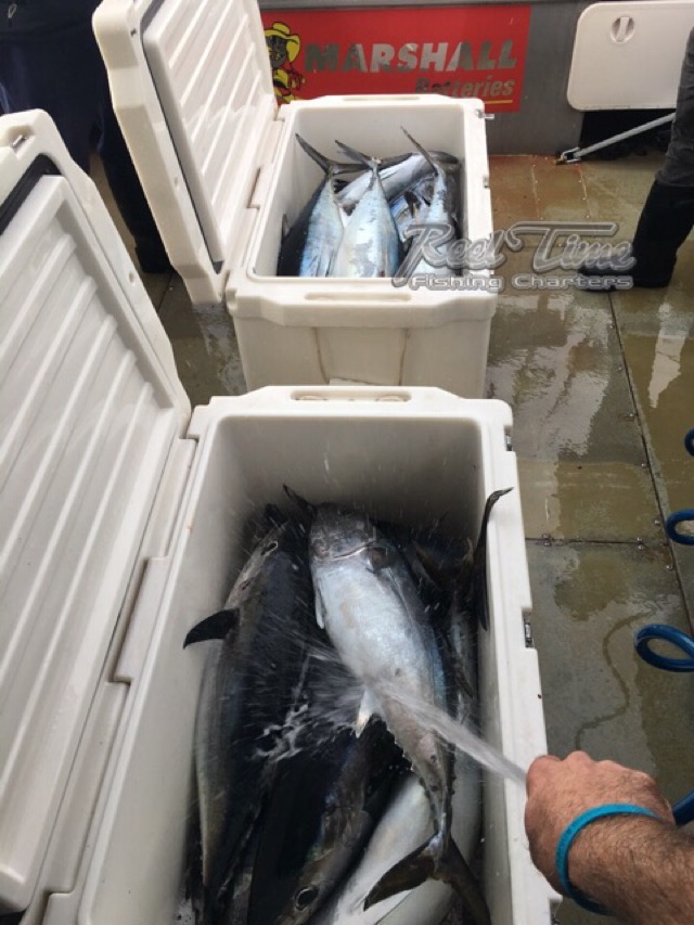 Victoria Bluefin Tuna Fishing Charters