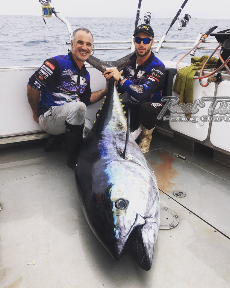 giant tuna in portland victoria