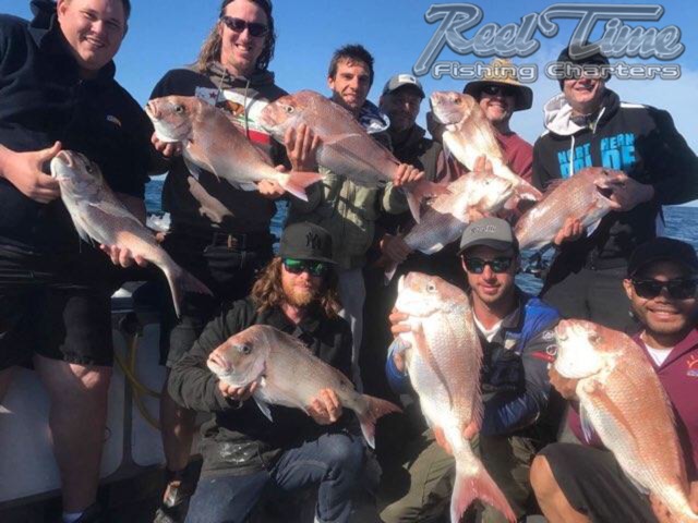snapper fishing charters