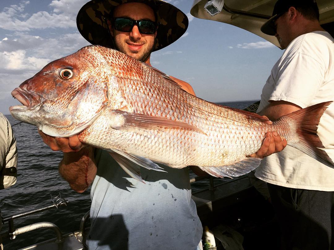 Snapper Fishing in Port Phillip Bay