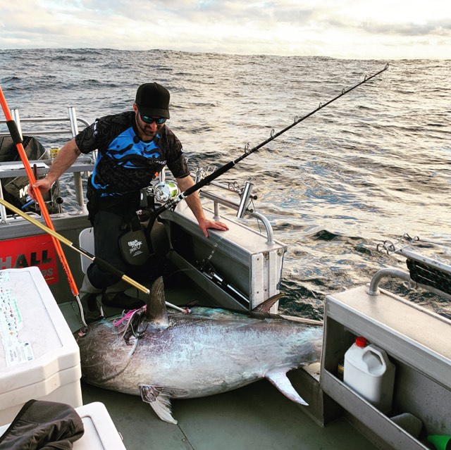 Biggest Tuna in Portland Victoria