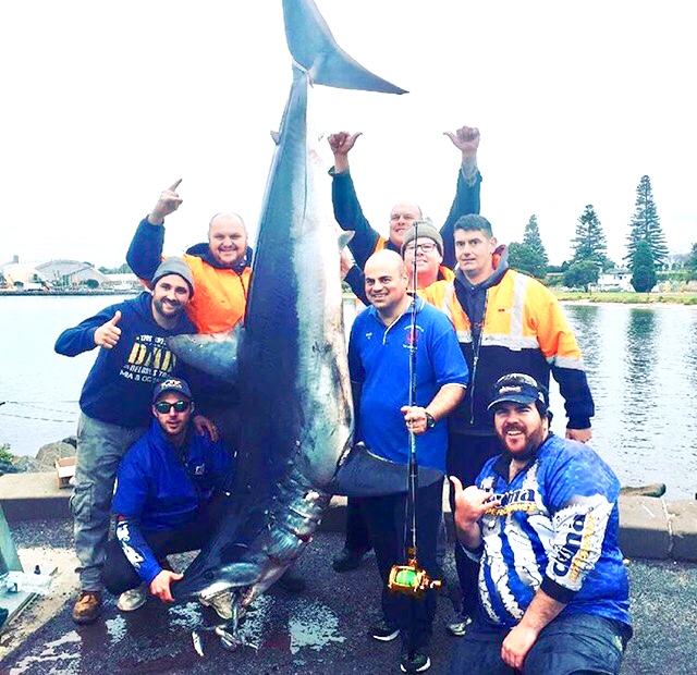 Mako shark Fishing Charters Victoria