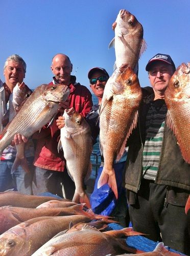 Snapper Fishing Charters Mornington Peninsula Victoria