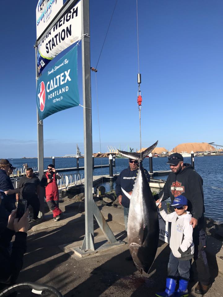 Portland Tuna Giant Tuna Caught in 2017