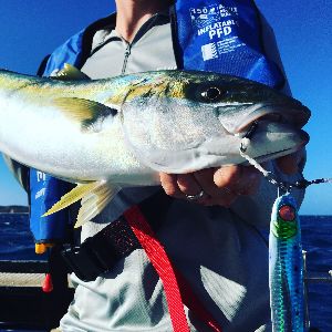 King Fish Fishing Charters Port Phillip Bay Melbourne