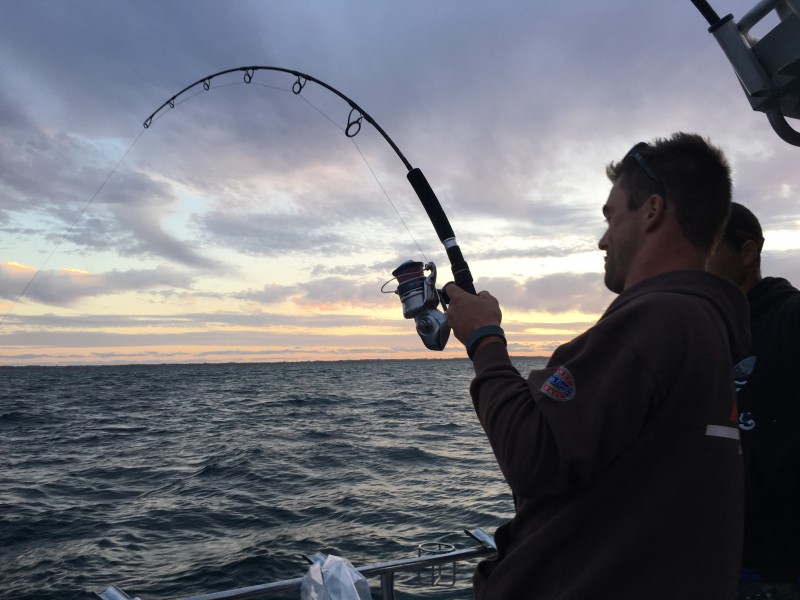 Mornington Peninsula, Martha Cove Provides and abundance of fishing in Port  Phillip Bay. March 2016