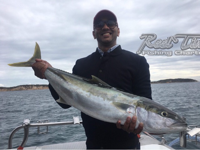 King Fish Snapper & Portland Tuna Fishing Charters coming soon!