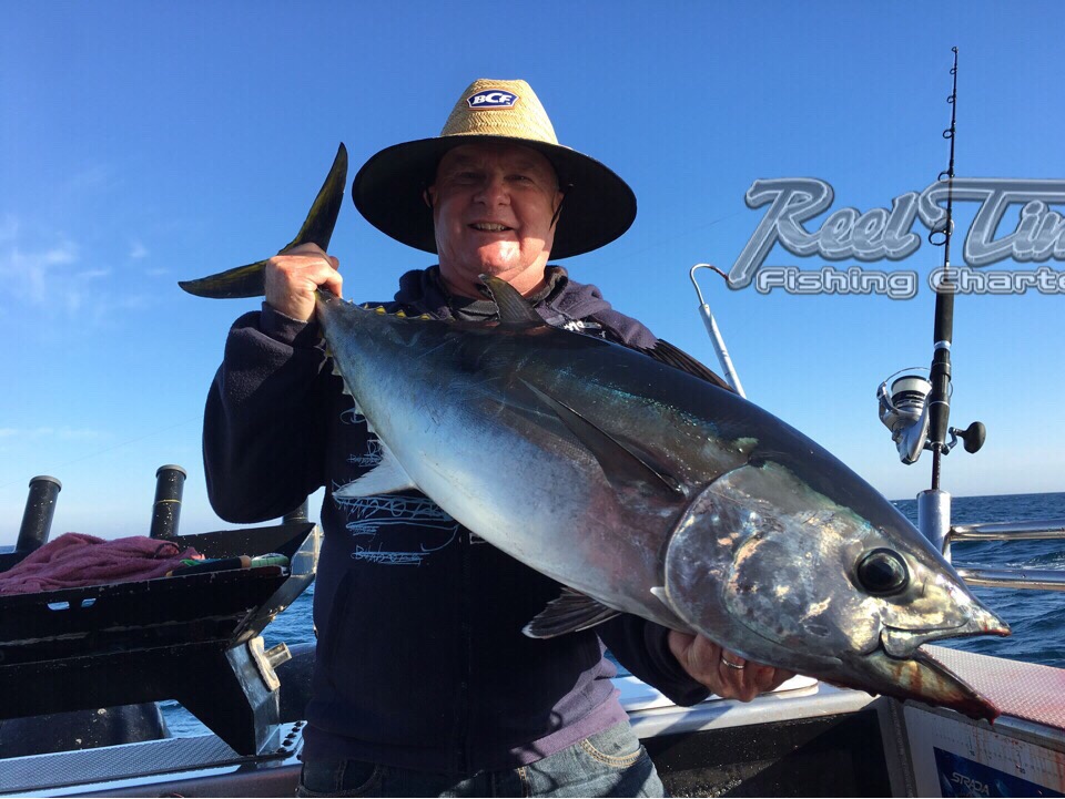 Tuna Fishing in Portland Season 2018