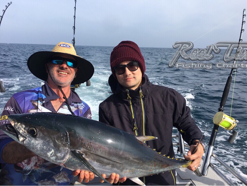 Tuna Fishing in Portland Season 2018
