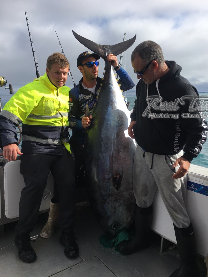 Giant Tuna at Portland Barrels May 2018