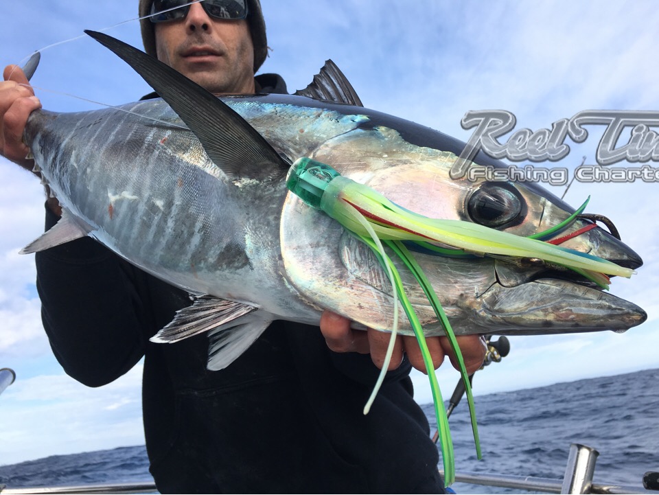 Blue Fin Tuna Fishing Charters Portland