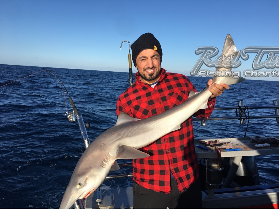 Book a Portland Tuna Fishing Charter 2018