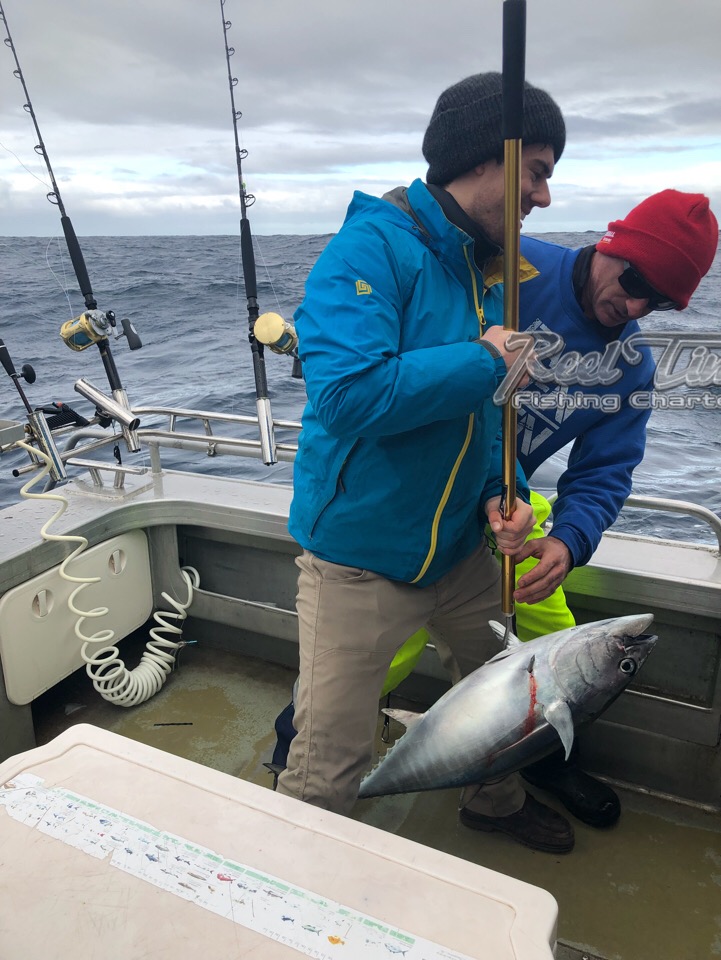 Fishing Charters in Portland crazy day for catching Tuna