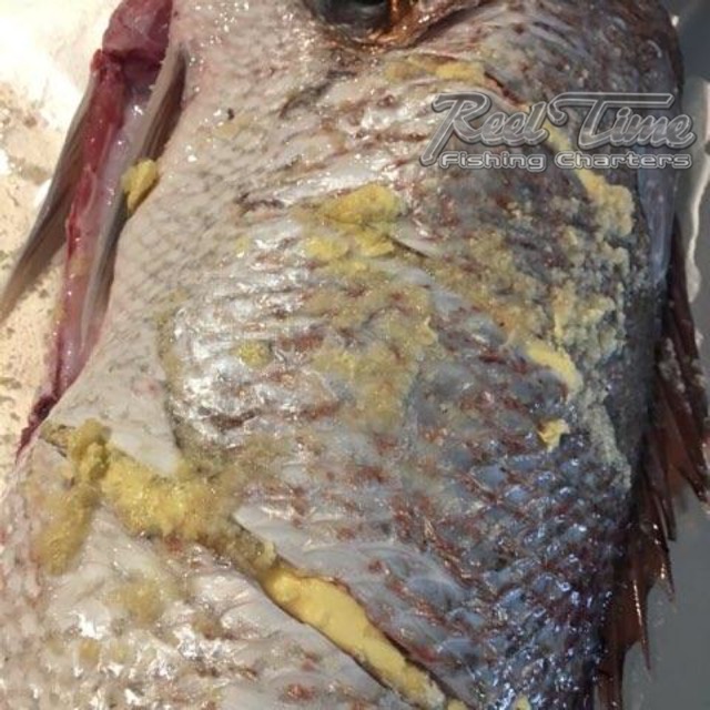 Snapper Fishing Charters Melbourne