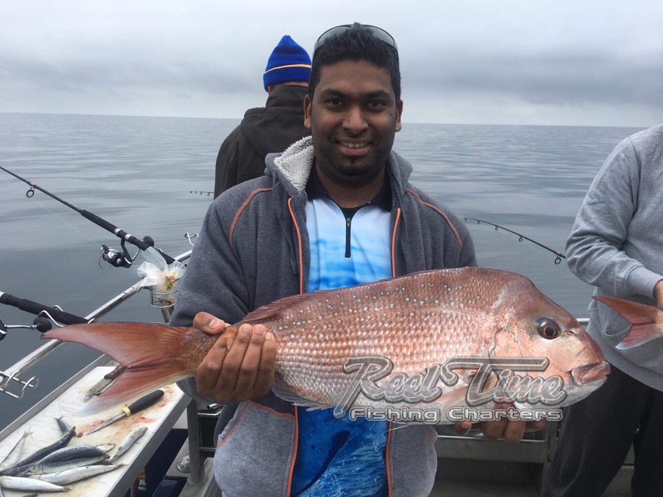 Snapper Fishing Charters October 30 2018