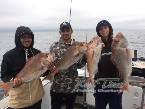 Melbourne Snapper Charters 2018
