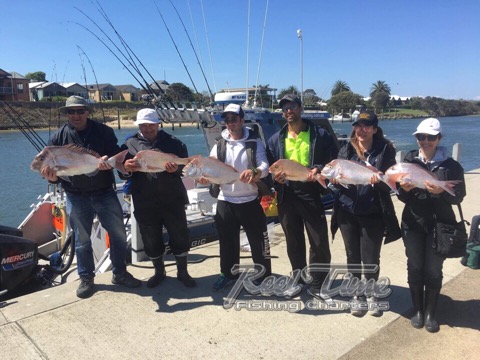 Snapper Fishing Charters Port Phillip Bay Nov 2019