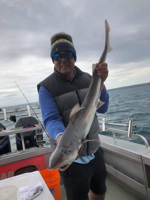 Snapper Fishing Charters 2019 Melbourne