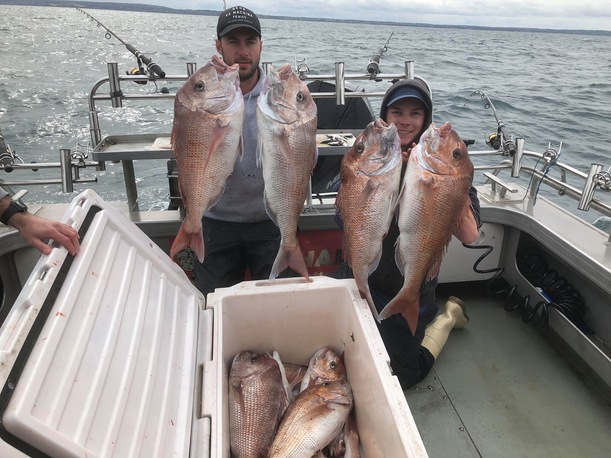 Snapper Fishing Charters/Trips in Melbourne December 2019  