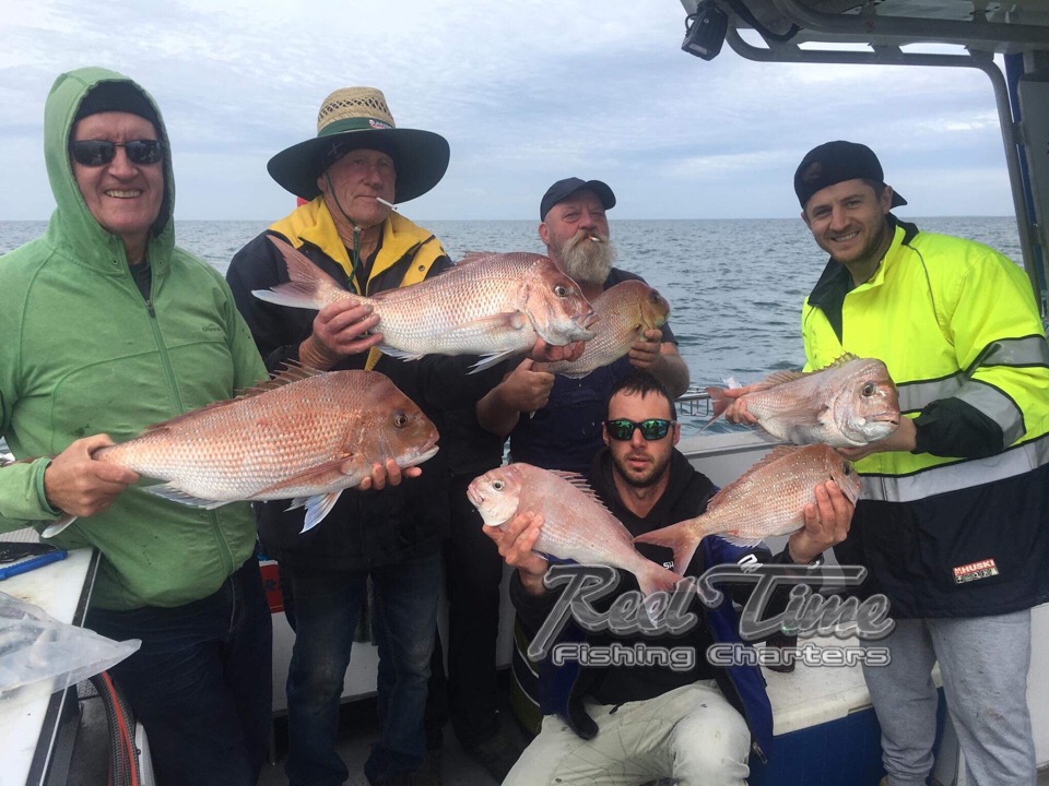 Snapper Fishing Charters Port Phillip Bay October 2018